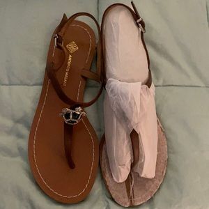 Antonio Melani sandals